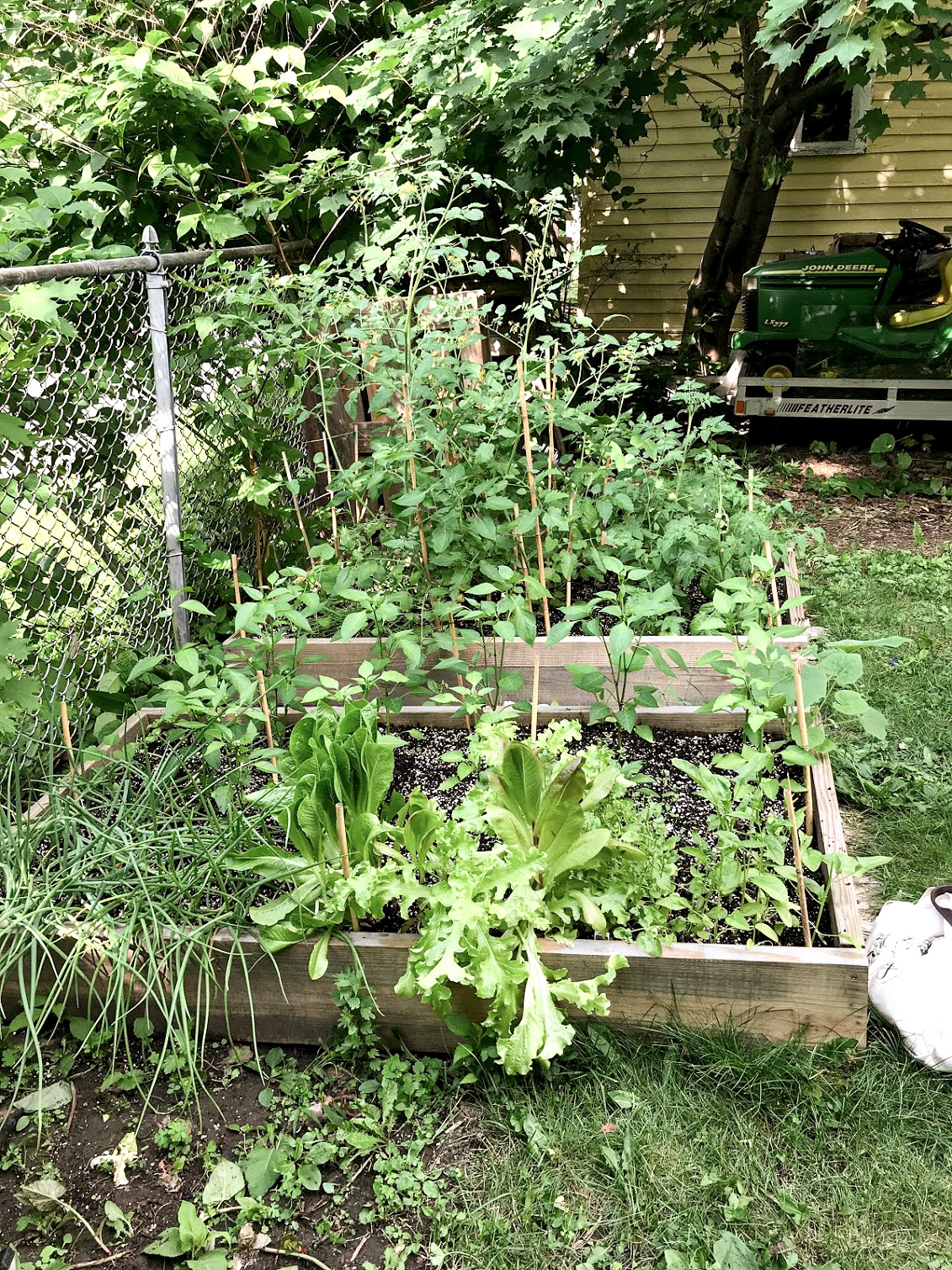 Raised beds pt 2 edited 47